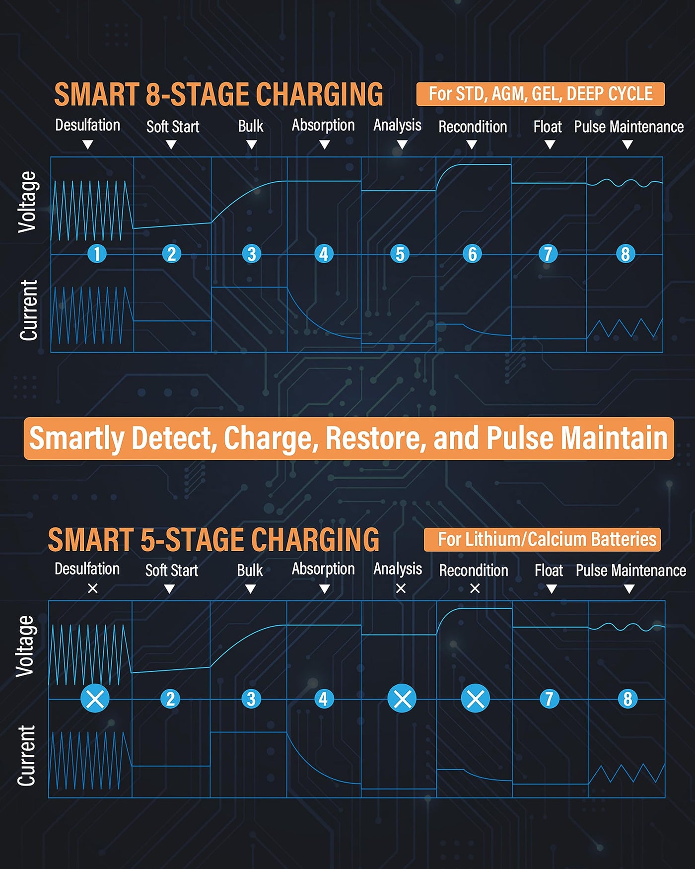 Ampeak 2/8/15A Smart Battery Charger