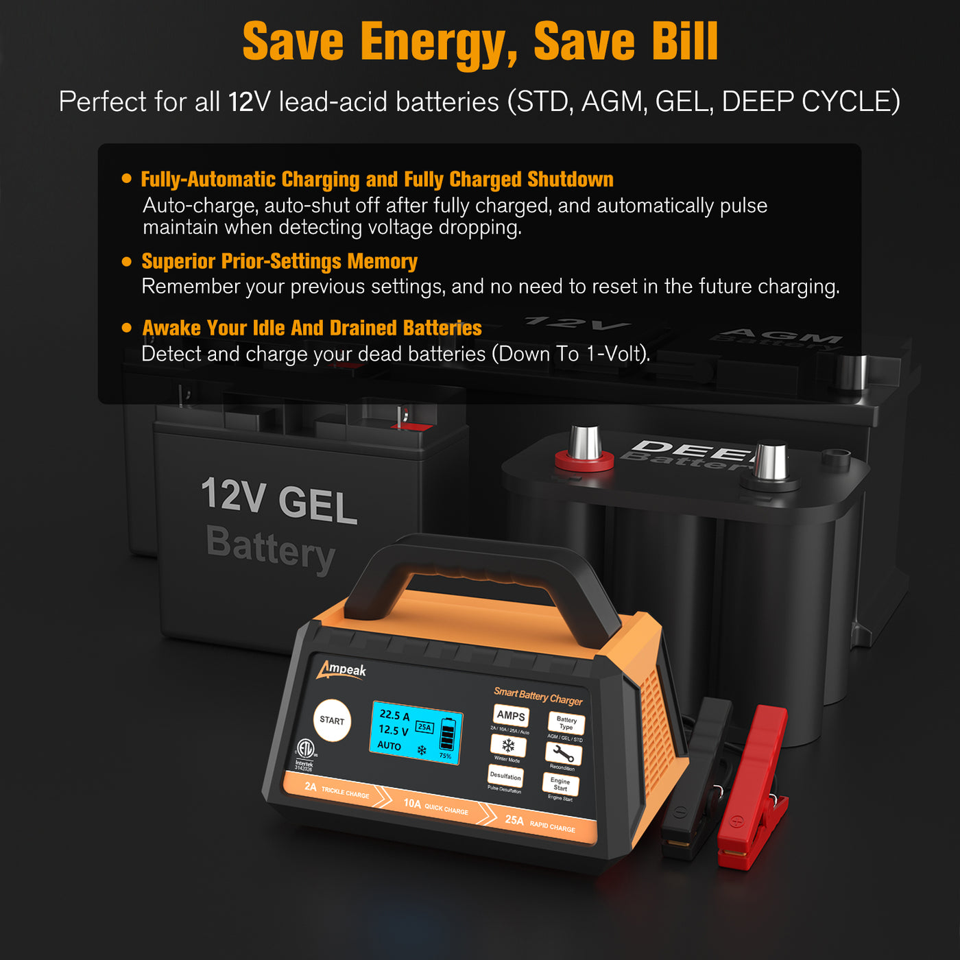 Smart trickle charger | Ampeak Smart Battery Charger | Ampeak 